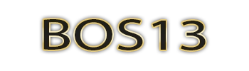 Logo BOS13