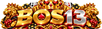 Logo BOS13
